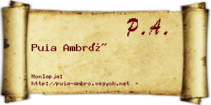 Puia Ambró névjegykártya